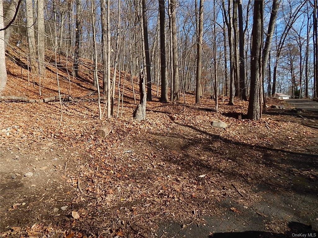 Land Mountain  Rockland, NY 10956, MLS-H6279191-3