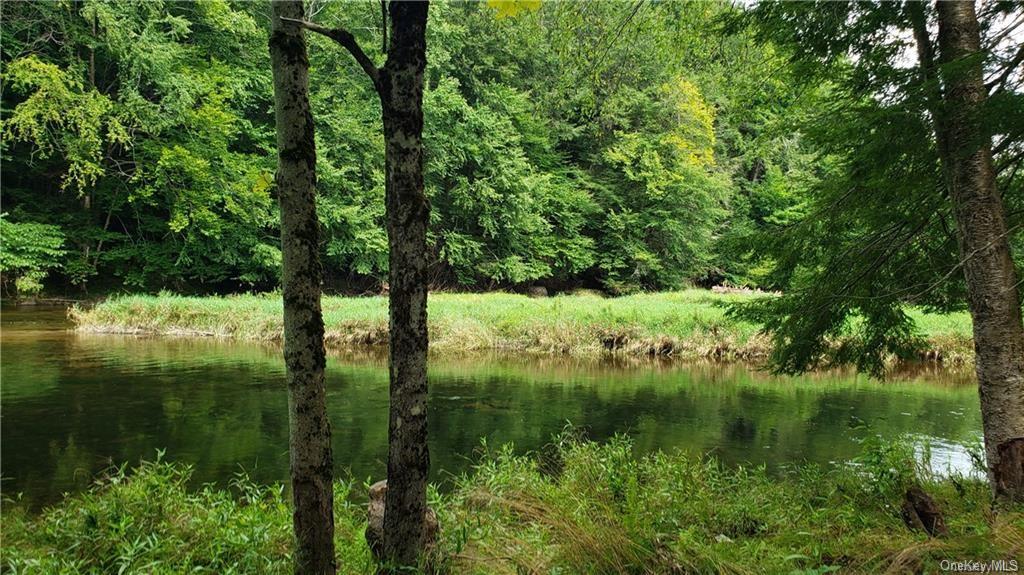 Land Marsh Road Tr 83  Sullivan, NY 12733, MLS-H6270193-3