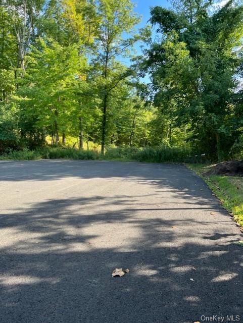 Land Deerwood  Dutchess, NY 12533, MLS-H6212196-3