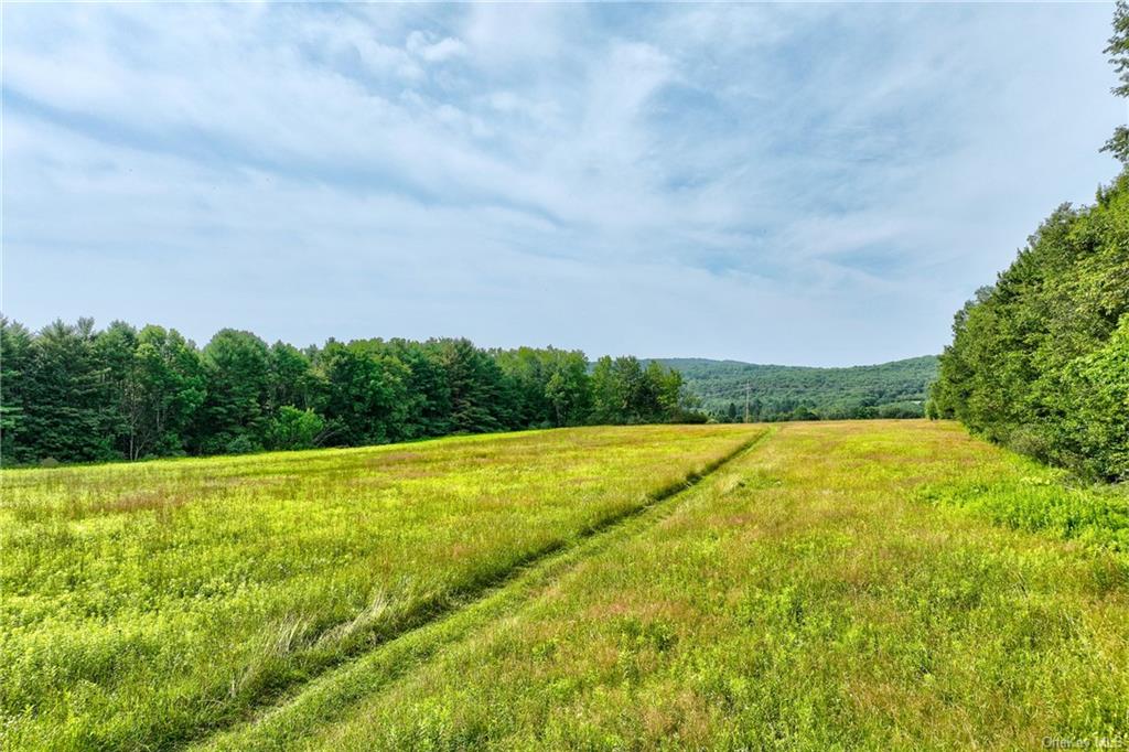 Land Rolling Meadows  Sullivan, NY 12787, MLS-H6261215-3