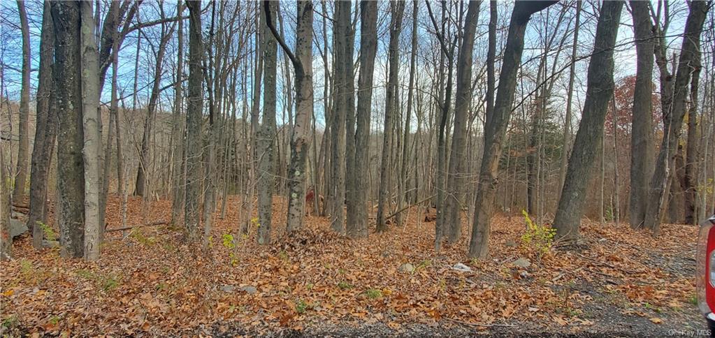 Land Huckleberry  Ulster, NY 12589, MLS-H6158218-3