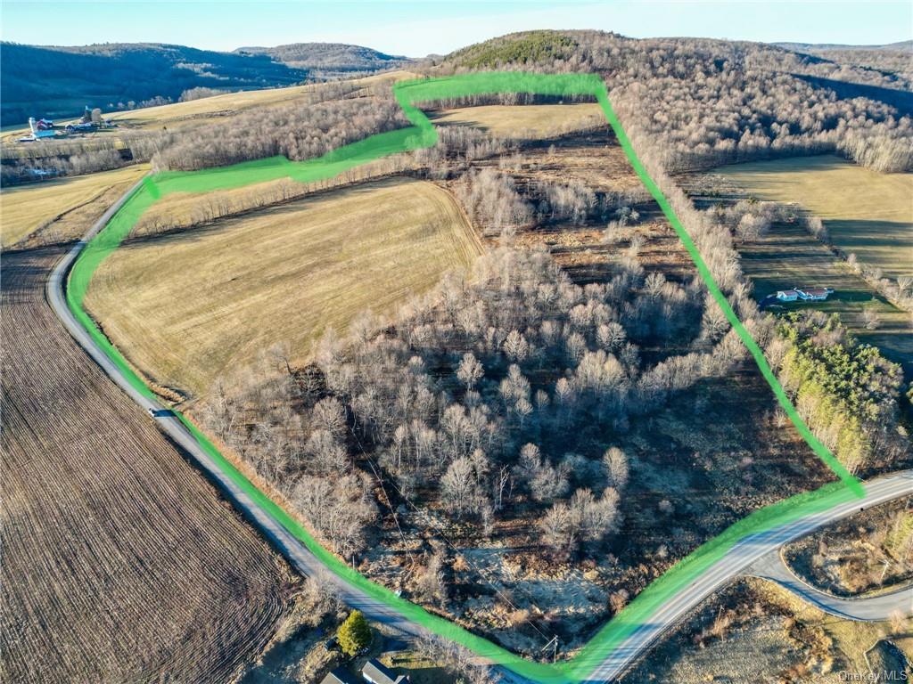 Land Mcmurdy Brook  Delaware, NY 13788, MLS-H6227237-3