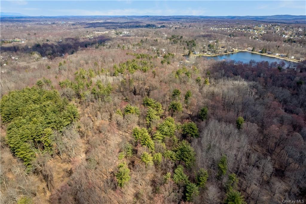 Land Spook Hill  Dutchess, NY 12590, MLS-H6244243-3