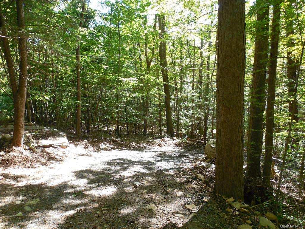 Land Shawanga Lodge  Sullivan, NY 12721, MLS-H6215260-3