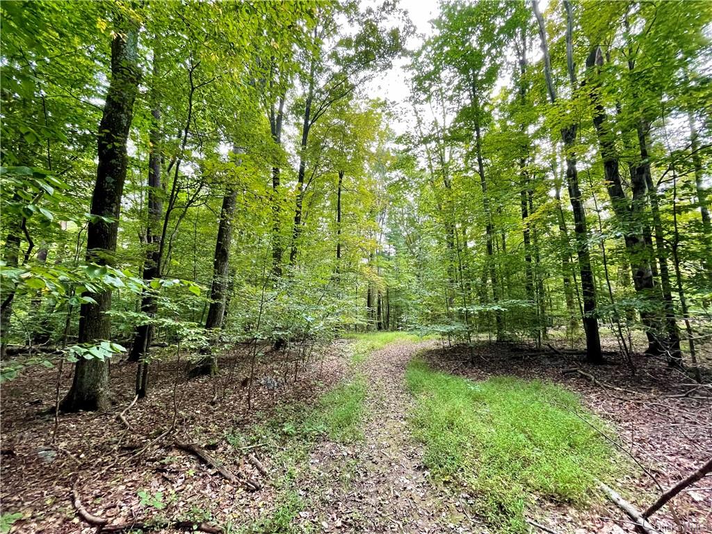 Land Ulsterville  Ulster, NY 12566, MLS-H6144266-3