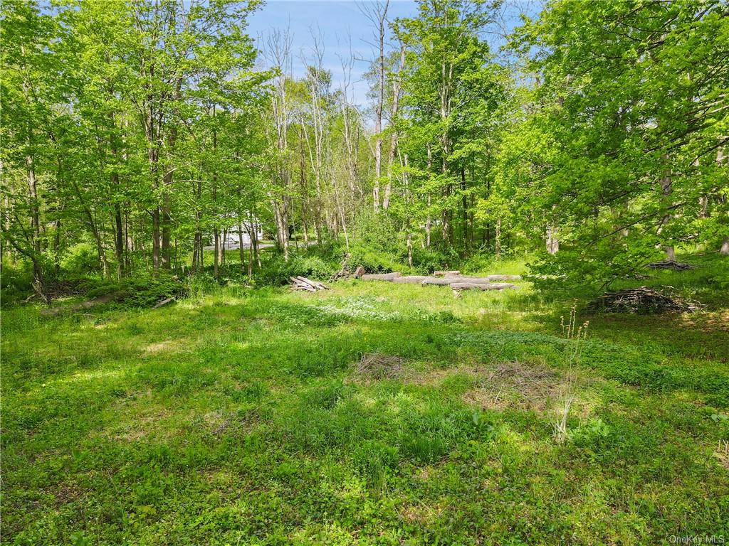 Land Old Post  Westchester, NY 10506, MLS-H6277277-3