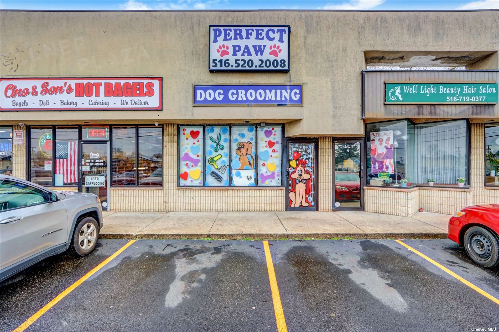 Business Opportunity Hicksville Rd.  Nassau, NY 11758, MLS-3477282-3