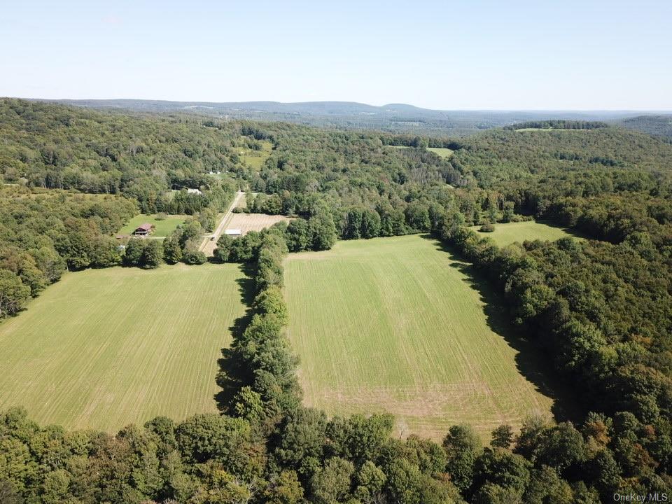 Land Menges  Sullivan, NY 12791, MLS-H6268308-3