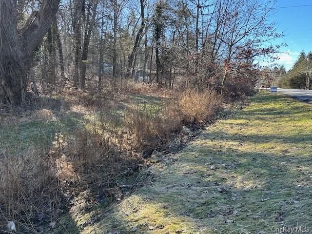 Land Route 209  Ulster, NY 12404, MLS-H6151324-3