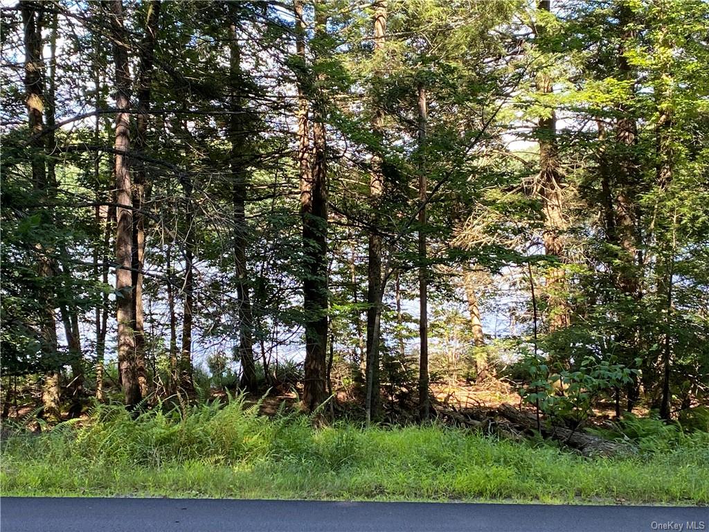 Land Lakeshore  Sullivan, NY 12778, MLS-H6202359-3