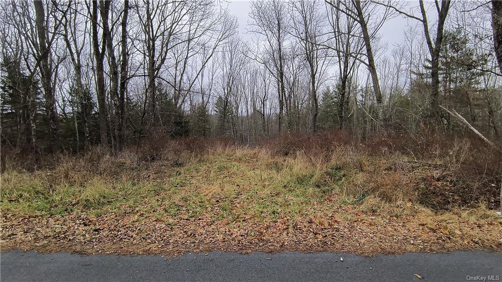 Land New Turnpike A  Sullivan, NY 12726, MLS-H6281364-3