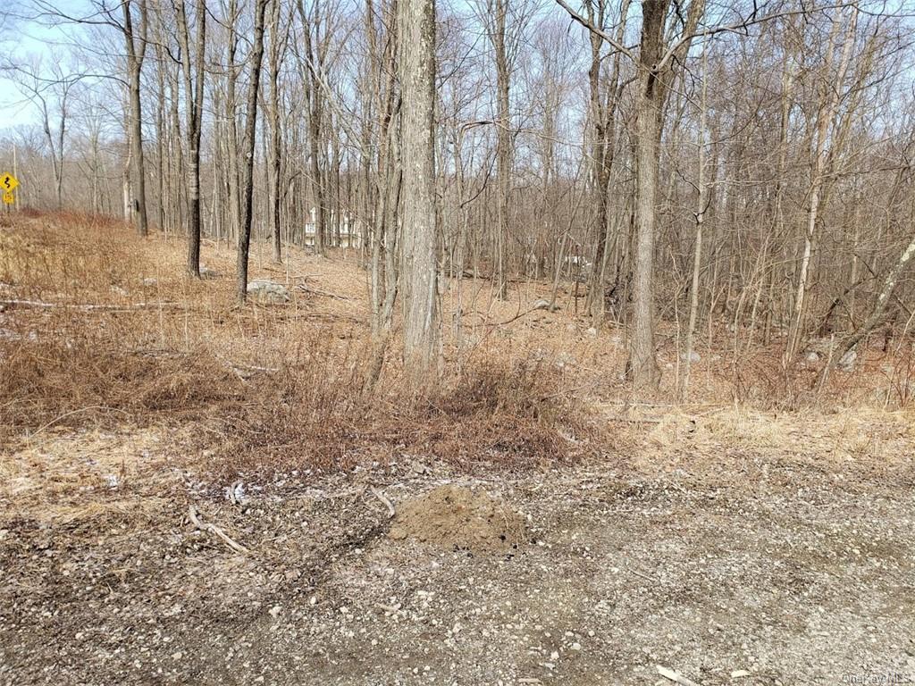 Land White Rock  Dutchess, NY 12531, MLS-H6015368-3