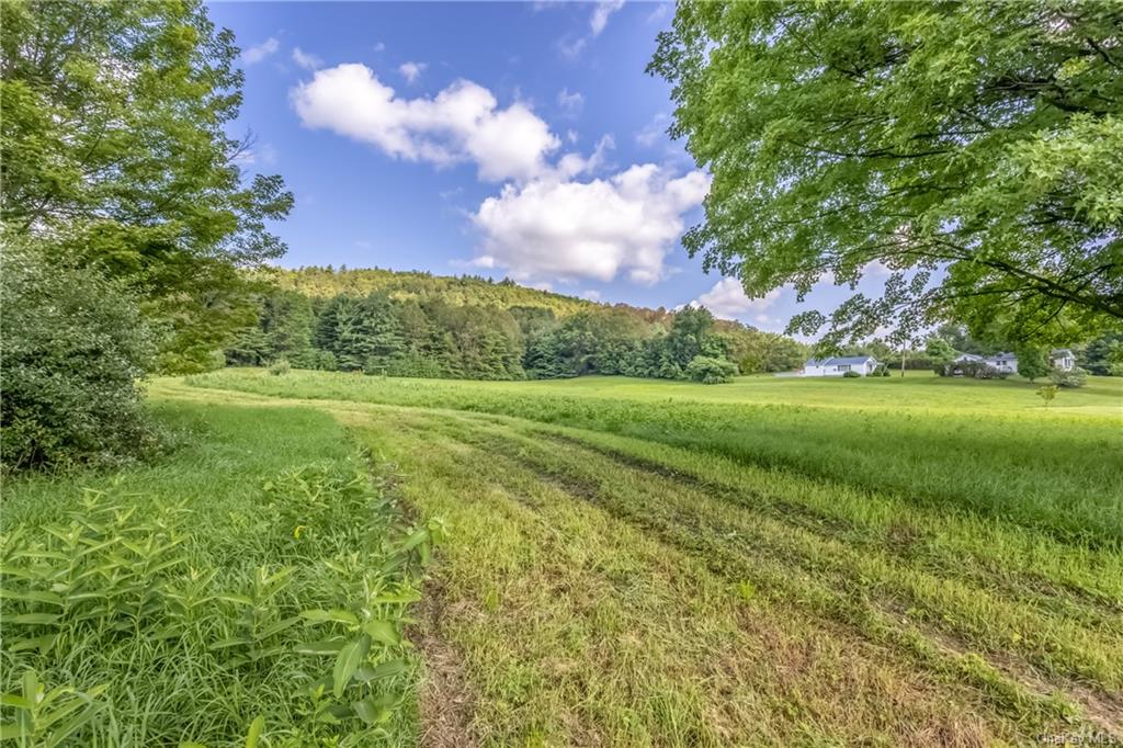 Land Route 209  Ulster, NY 12428, MLS-H6262369-3