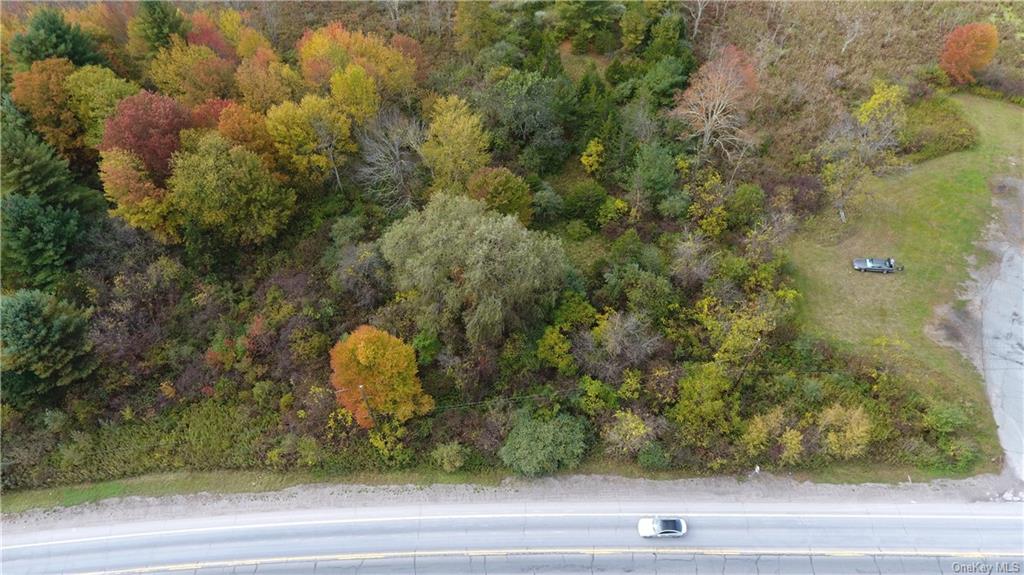 Land State Route 209  Sullivan, NY 12790, MLS-H6085378-3