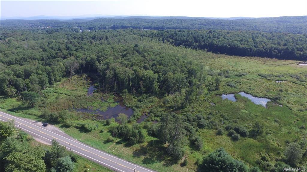 Land Heiden  Sullivan, NY 12733, MLS-H6212378-3