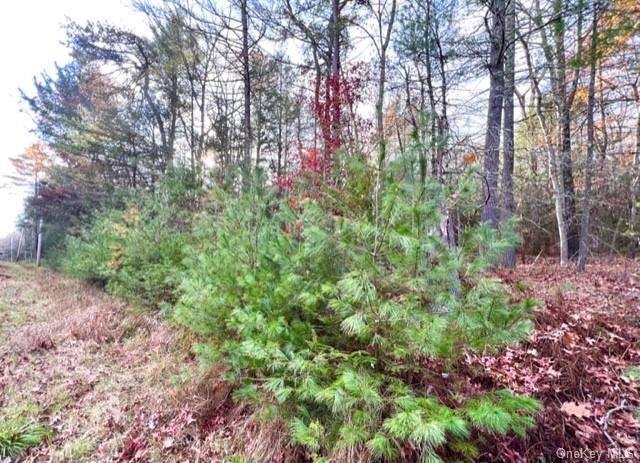 Land Barker  Sullivan, NY 12732, MLS-H6277396-3