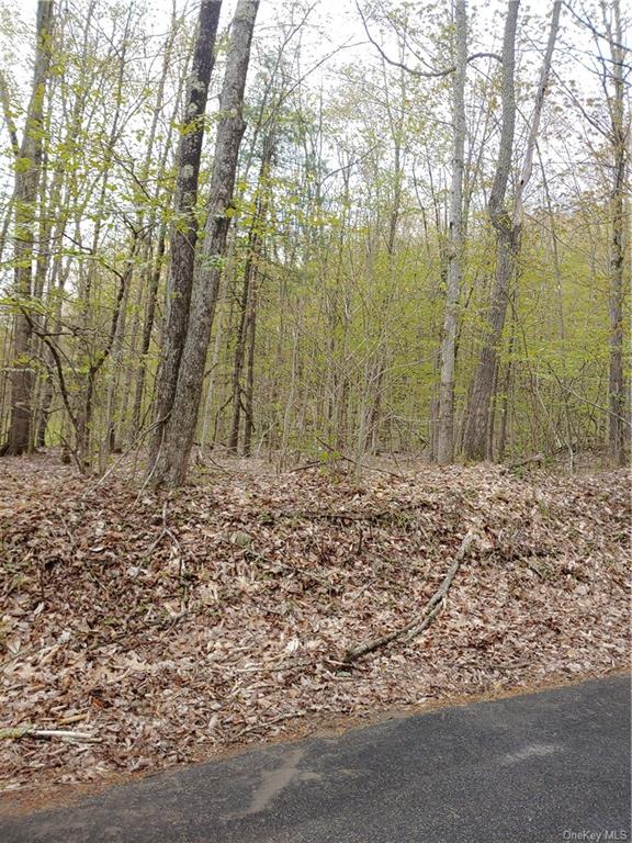 Land Mountain Top  Sullivan, NY 12790, MLS-H6247405-3