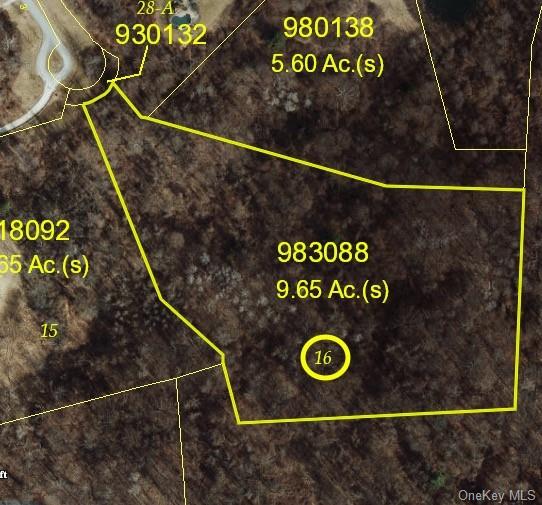 Land Brady Brook Farm  Dutchess, NY 12564, MLS-H6240406-3