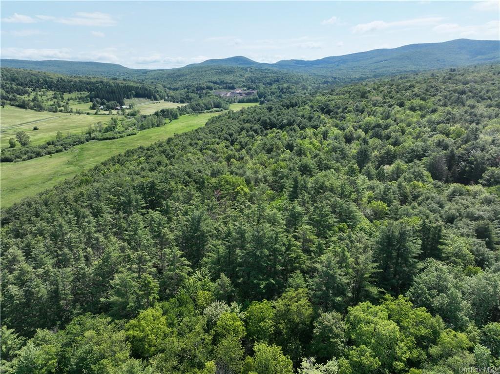 Land Beaver Hill  Out Of Area, NY 12076, MLS-H6256426-3