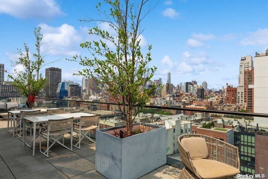 Condo East Houston  Manhattan, NY 10002, MLS-3497427-3