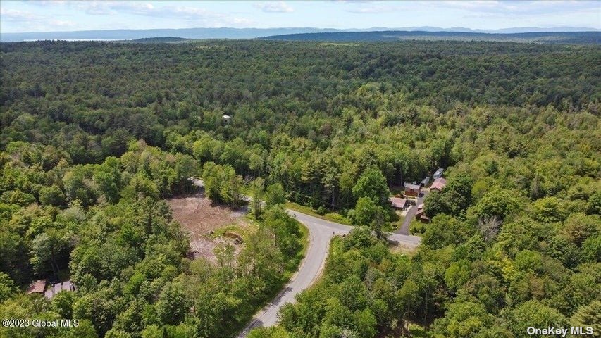 Land Wileytown  Out Of Area, NY 12850, MLS-3481428-3