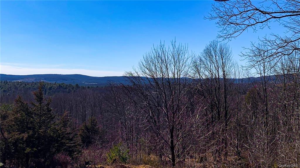 Land Red Rock  Ulster, NY 12489, MLS-H6259428-3