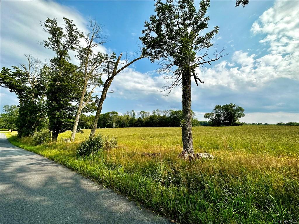 Land Prince  Sullivan, NY 12720, MLS-H6260442-3