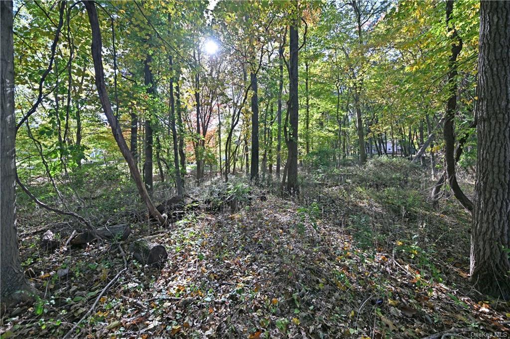 Land Summit Park  Rockland, NY 10977, MLS-H6274443-3