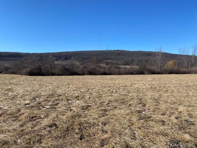 Land Vineyard  Ulster, NY 12528, MLS-H6170462-3