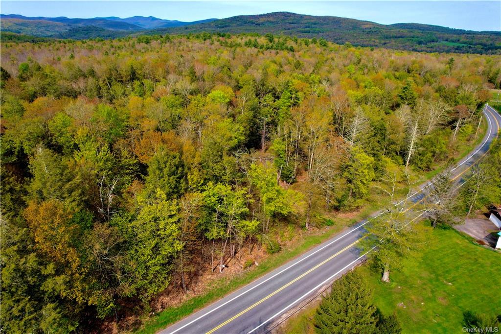 Land State Route 42  Sullivan, NY 12765, MLS-H6248472-3