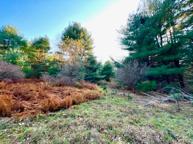 Land Hillside  Sullivan, NY 12719, MLS-H6277475-3