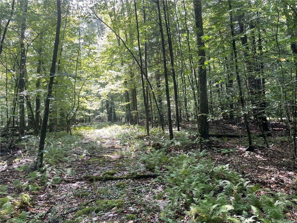 Land Lot 22.7 New Turnpike B  Sullivan, NY 12737, MLS-H6278485-3