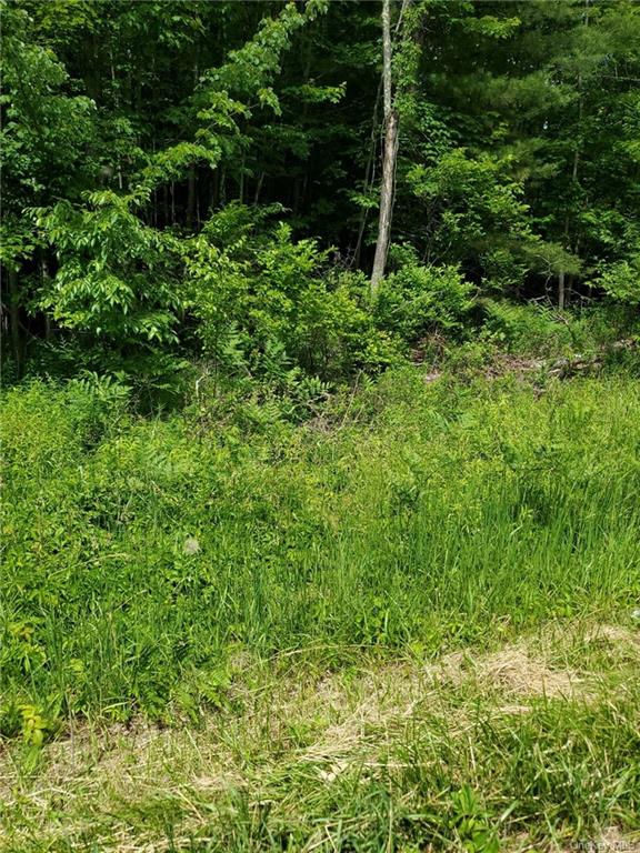 Land Ulster Heights  Ulster, NY 12428, MLS-H6274493-3