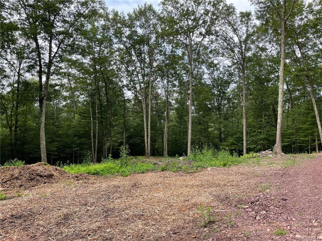 Land Naomi Dr / State Route 97  Sullivan, NY 12726, MLS-H6267505-3