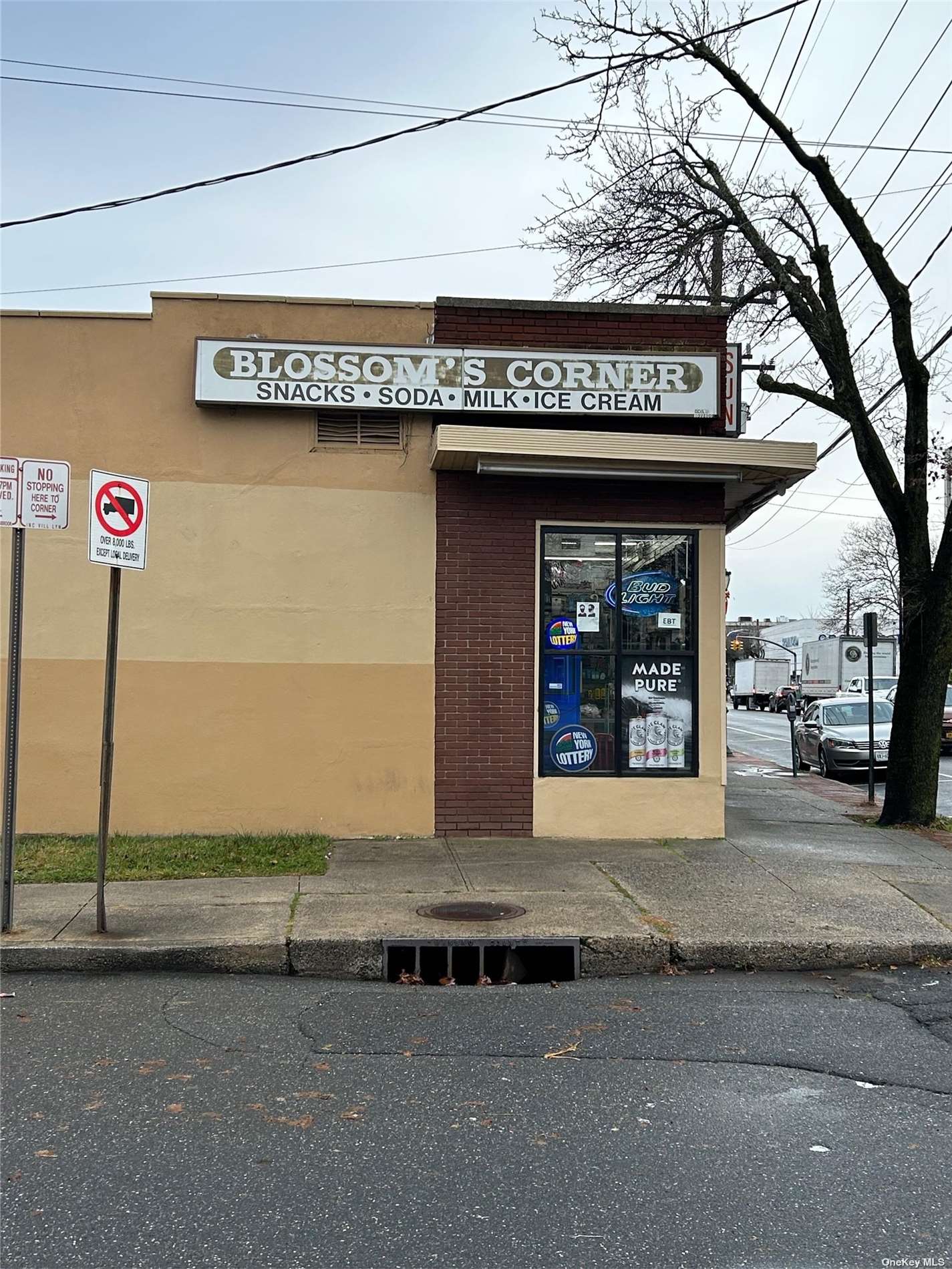 Business Opportunity Merrick  Nassau, NY 11563, MLS-3520518-3