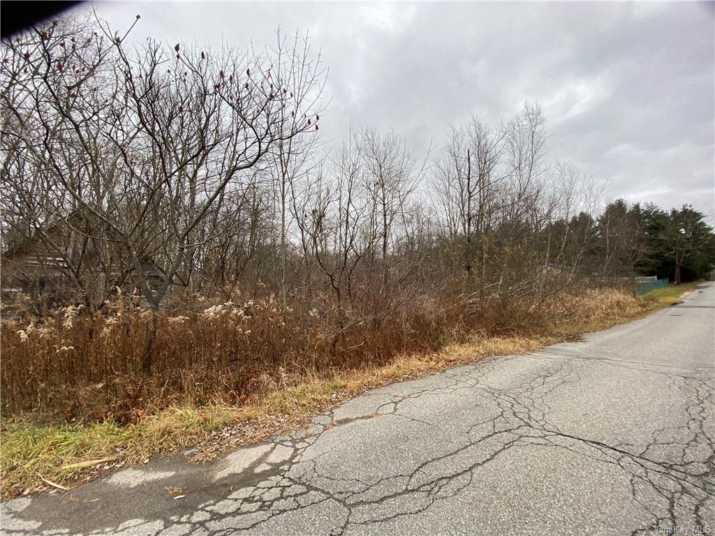 Land Maple  Sullivan, NY 12747, MLS-H6280525-3