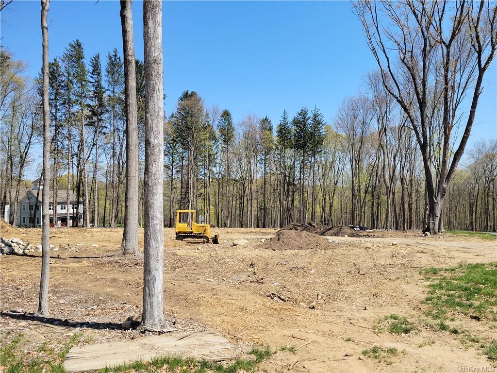Land Cobbling Rock  Westchester, NY 10536, MLS-H6194528-3