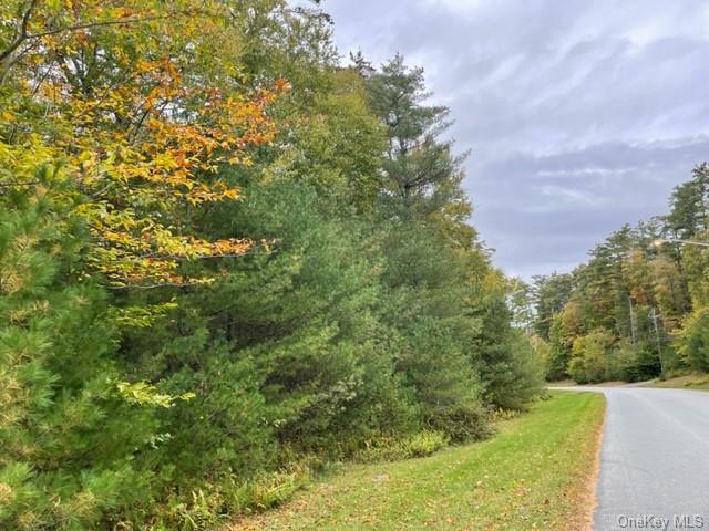 Land Chapin  Sullivan, NY 12720, MLS-H6273528-3