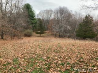 Land Forest  Dutchess, NY 12538, MLS-H6235568-3