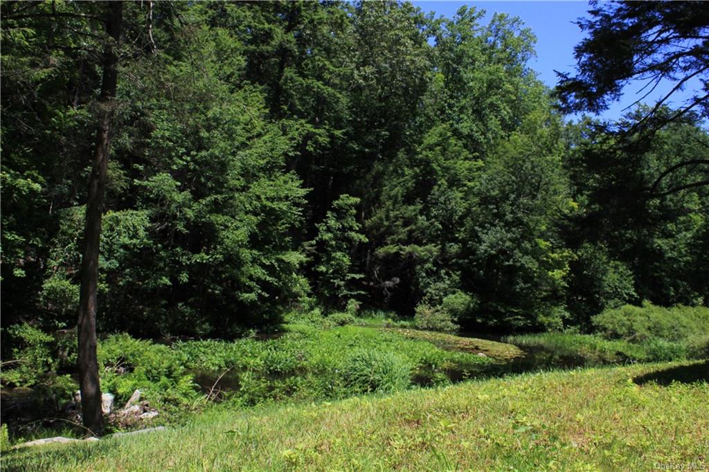 Land Rolling Meadow  Westchester, NY 10576, MLS-H6130576-3