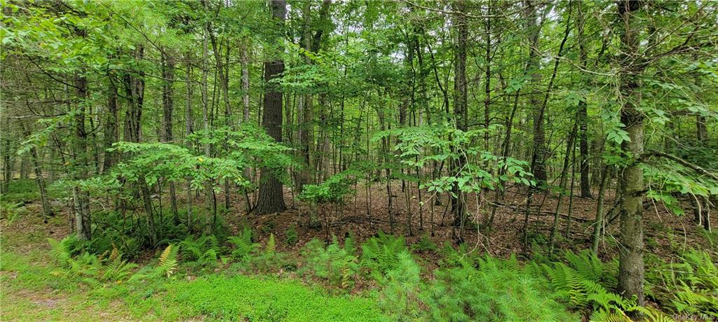 Land Hawks Nest  Out Of Area, NY 18428, MLS-H6265593-3