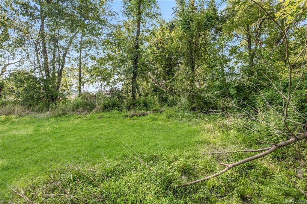 Land Y Pine  Westchester, NY 10517, MLS-H6259622-3