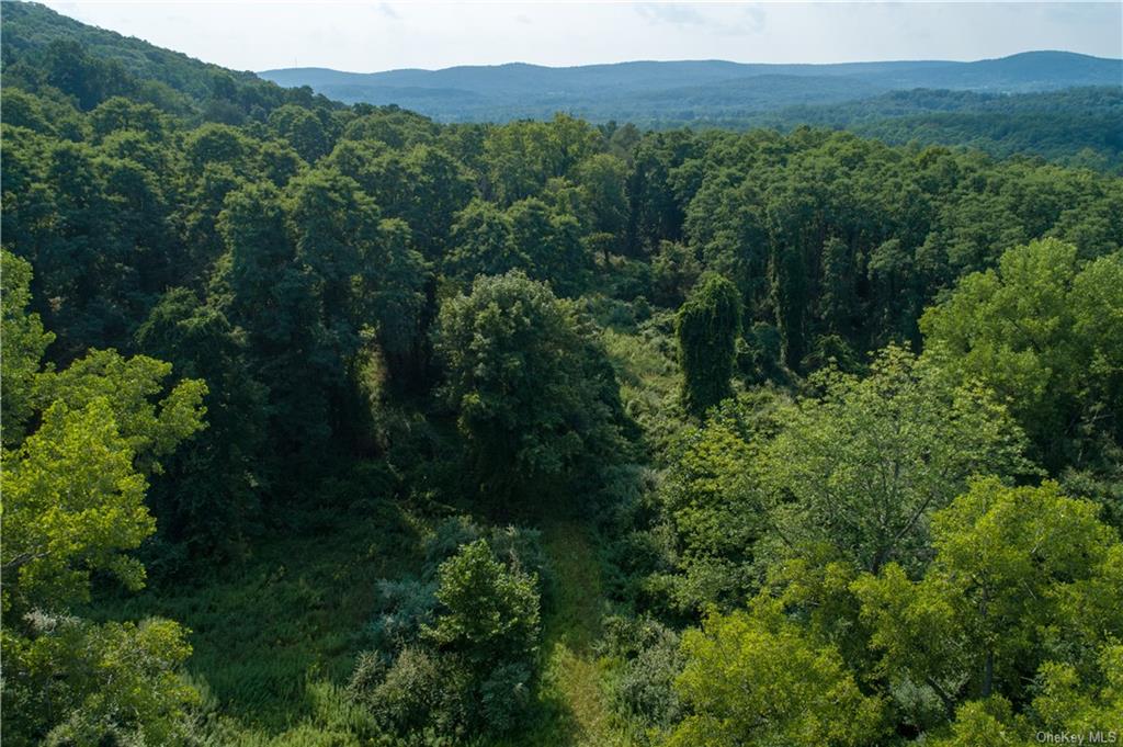 Land Ravine  Dutchess, NY 12564, MLS-H6072629-3