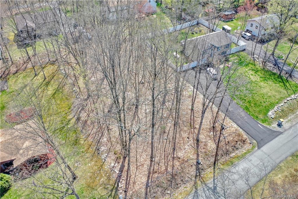 Land Alexander  Orange, NY 10950, MLS-H6243644-3