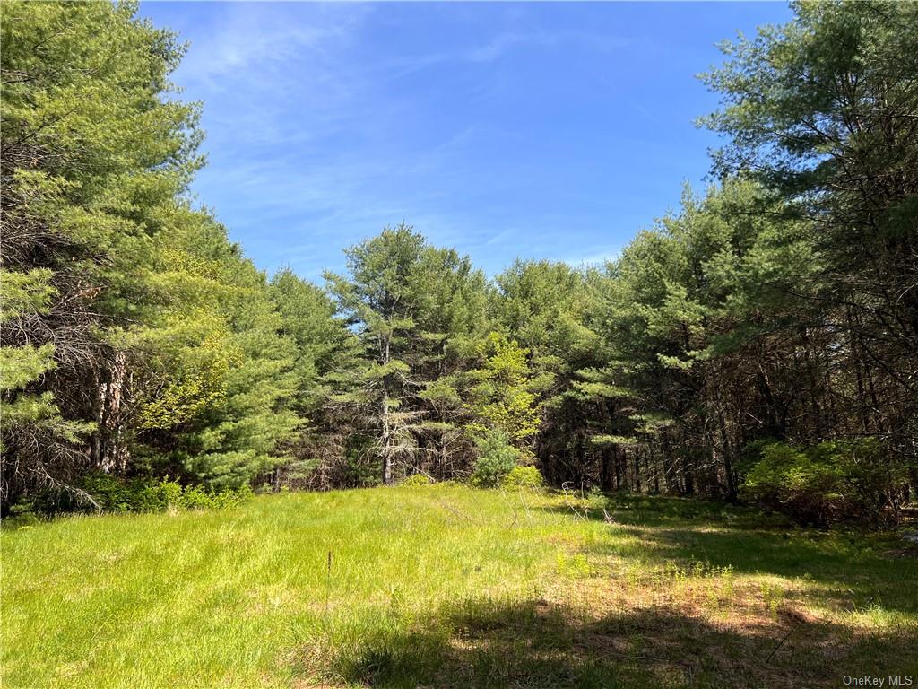 Land Stag Forest  Sullivan, NY 12777, MLS-H6268672-3