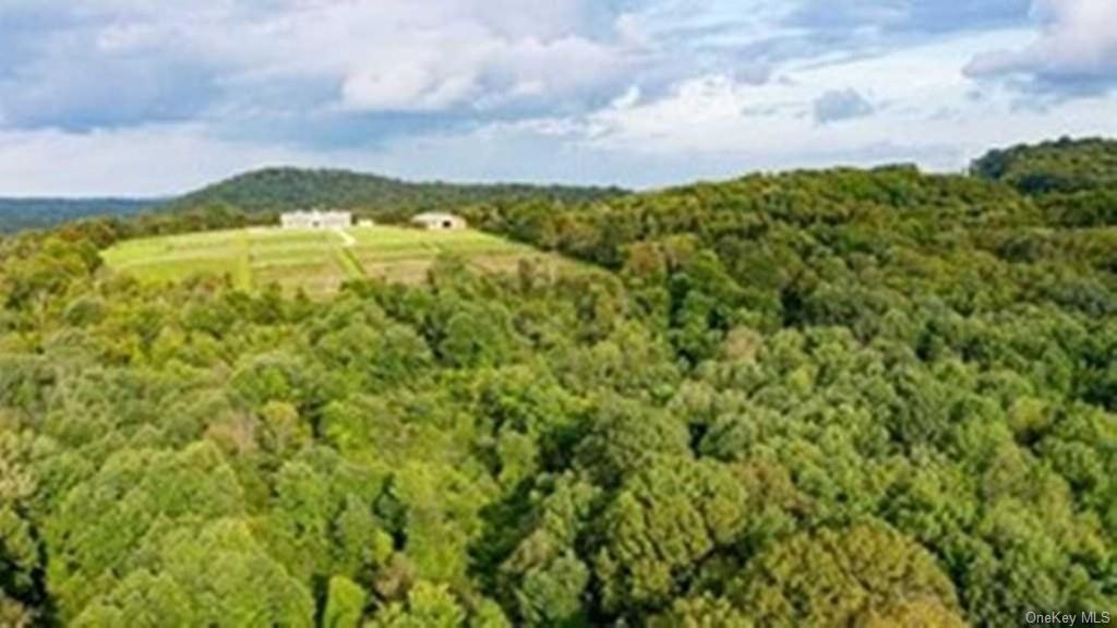 Land Chestnut Ridge  Dutchess, NY 12522, MLS-H6253675-3