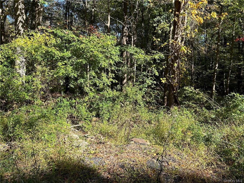 Land Benedict  Orange, NY 12549, MLS-H6272685-3