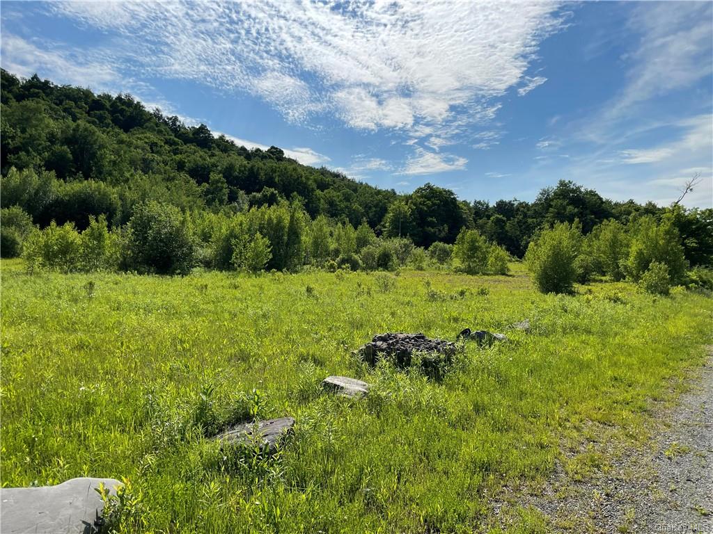 Land Tanzman  Sullivan, NY 12768, MLS-H6123688-3