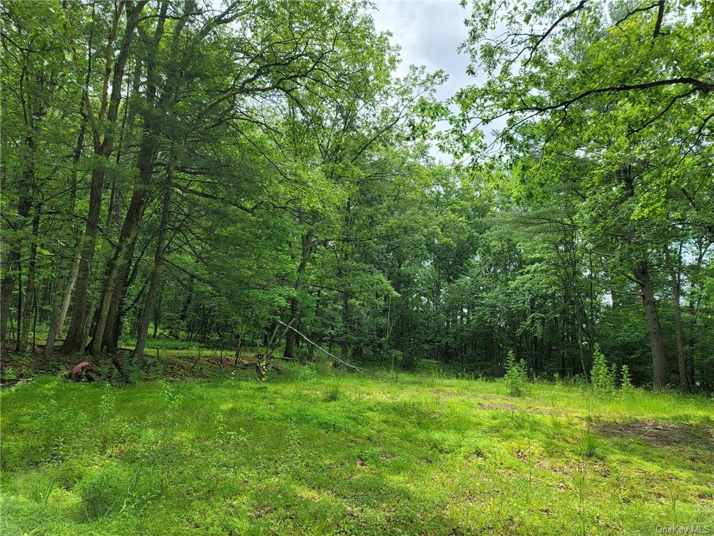 Land Route 97  Sullivan, NY 12764, MLS-H6257688-3