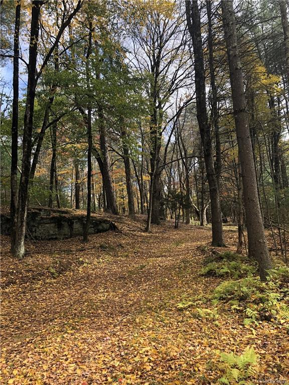 Land Old Tacy  Sullivan, NY 12720, MLS-H6261690-3